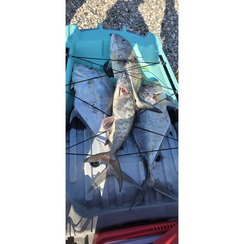 Plastic Fish  Electrico Motor  - Fishing Kayak Seat incelemesi ve fiyatı